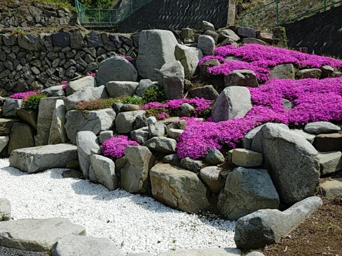 Siawase No Yado Shared With Host - Vacation Stay 68283V Fuefuki Luaran gambar